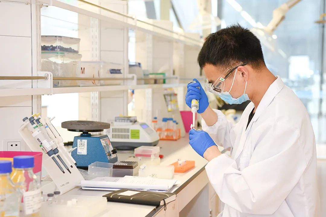 �ƽ�Ǽ��š�(�й���)�ٷ���վ