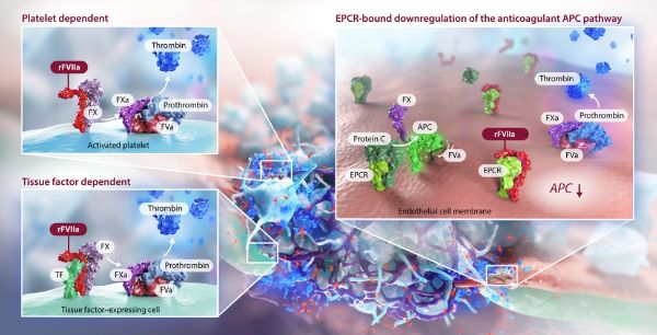 �ƽ�Ǽ��š�(�й���)�ٷ���վ