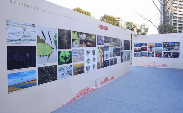 �ƽ�Ǽ��š�(�й���)�ٷ���վ